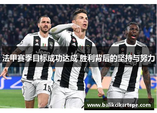 法甲赛季目标成功达成 胜利背后的坚持与努力