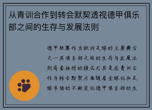从青训合作到转会默契透视德甲俱乐部之间的生存与发展法则
