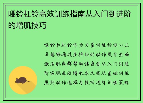 哑铃杠铃高效训练指南从入门到进阶的增肌技巧