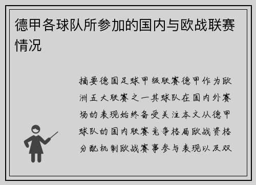 德甲各球队所参加的国内与欧战联赛情况