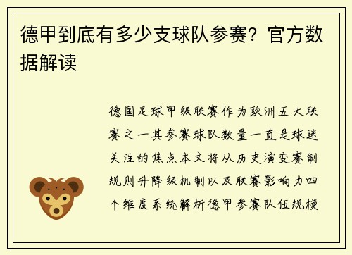 德甲到底有多少支球队参赛？官方数据解读