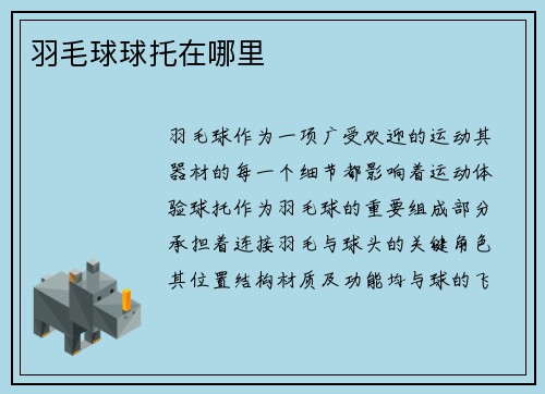 羽毛球球托在哪里