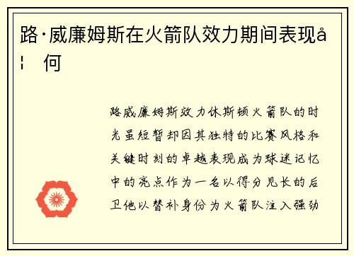 路·威廉姆斯在火箭队效力期间表现如何